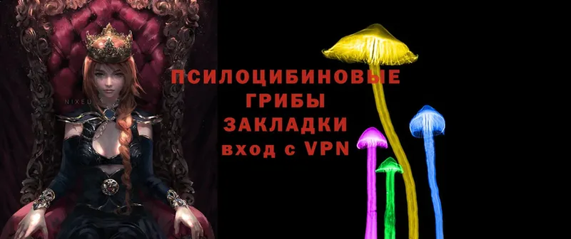 Галлюциногенные грибы GOLDEN TEACHER  omg сайт  Артёмовск 